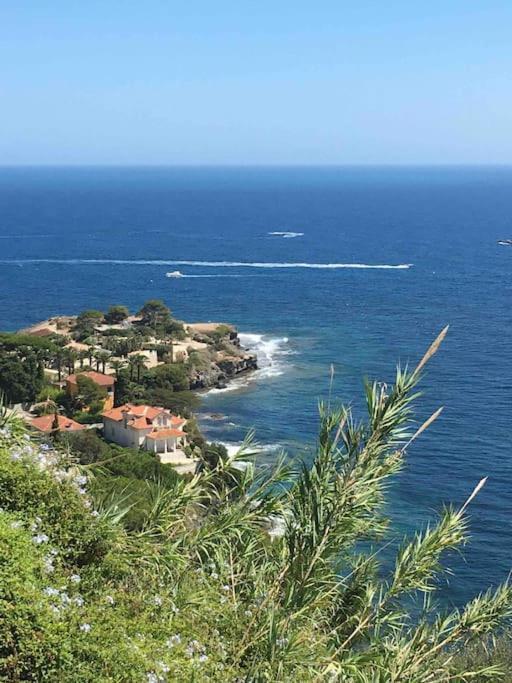 Vue Mer Incroyable Aux Portes De Monaco Кап д'Аил Екстериор снимка